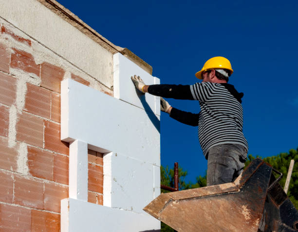 Best Residential Insulation Services  in Mckees Rocks, PA