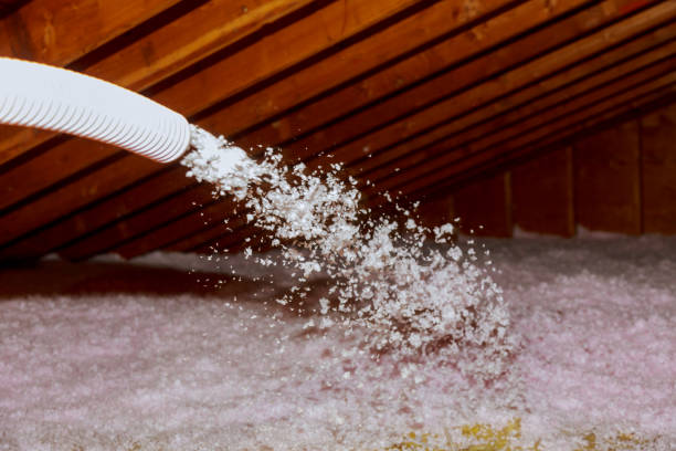 Best Energy-efficient Insulation  in Mckees Rocks, PA