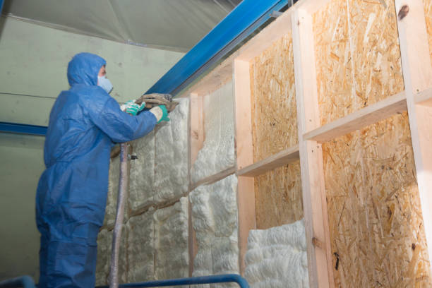 Best Spray Foam Insulation  in Mckees Rocks, PA