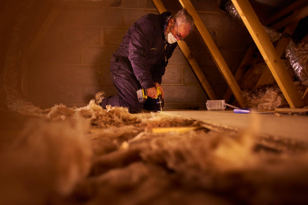 Best Insulation Replacement Services  in Mckees Rocks, PA